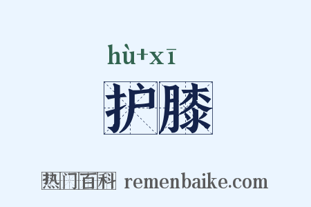 护膝是什么意思的图片